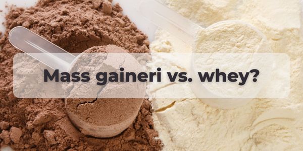 mass gaineri vs whey protein